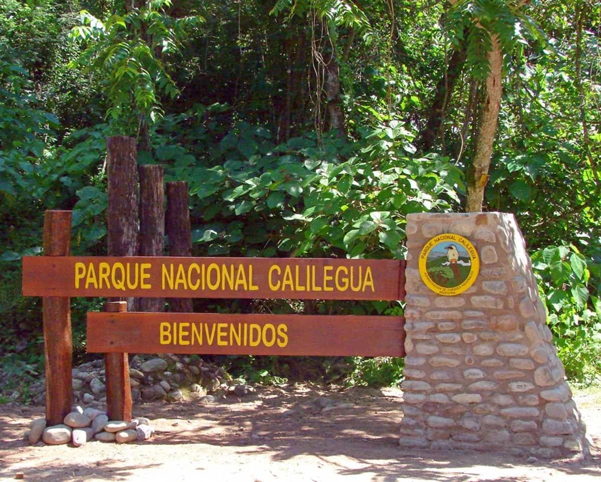 Camping Aguas Negras